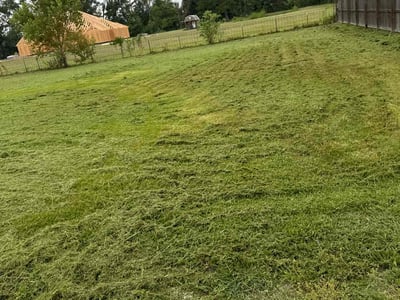 Lawn care service in Sorrento, 70778