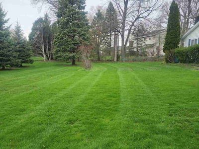 Lawn care service in Brookfield, 53045
