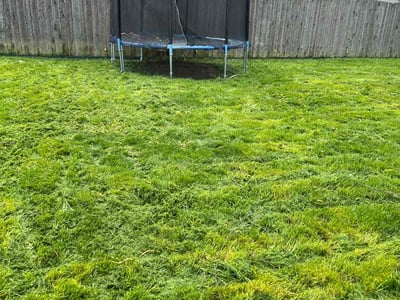 Lawn care service in Indianapolis, 46203