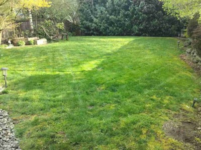 Lawn care service in Seattle, 98125