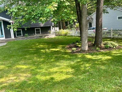 Lawn care service in Colchester, 05446