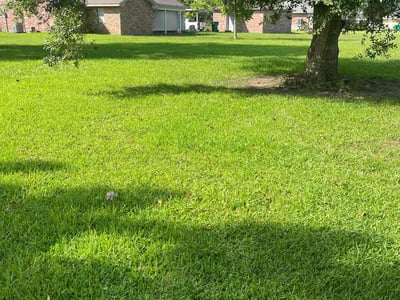 Lawn care service in Lake Charles, 70607