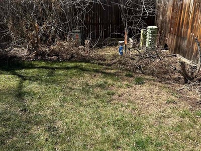 Lawn care service in Denver, 80247