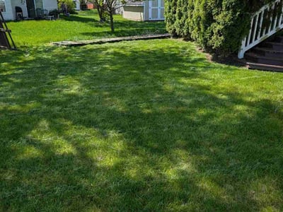 Lawn care service in Fishers, 46038