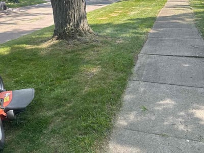 Lawn care service in Southfield, 48076