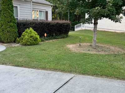 Lawn care service in Newnan, 30263