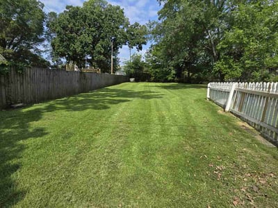 Lawn care service in Conway, 72032