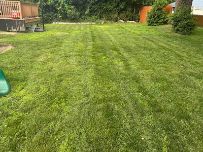 Lawn care service in Warwick, 02886