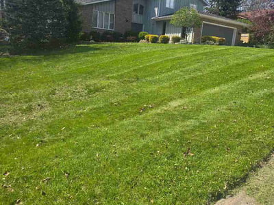 Lawn care service in Seven Hills, 44131