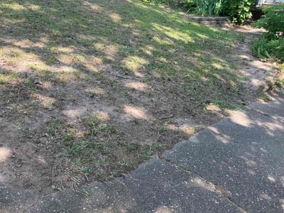 Lawn care service in , 