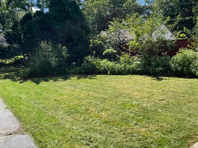 Lawn care service in South Euclid, 44121