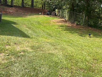 Lawn care service in Woodstock, 30188