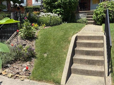 Lawn care service in Towson, 21286