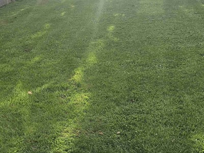 Lawn care service in Milwaukee, 53218
