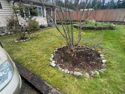 Lawn care service in Lynnwood, 98037