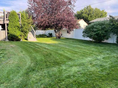 Lawn care service in Helena, 59602