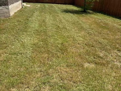 Lawn care service in Leander, 78641