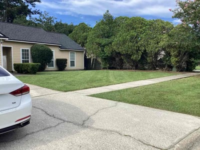 Lawn care service in Jacksonville, 32221
