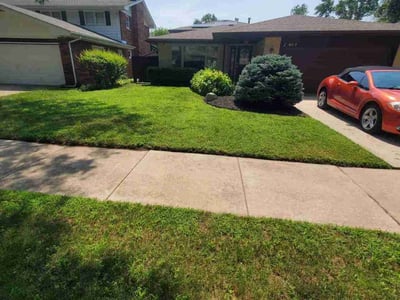 Lawn care service in Oak Lawn, 60453