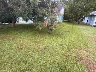 Lawn care service in Ocala, 34472