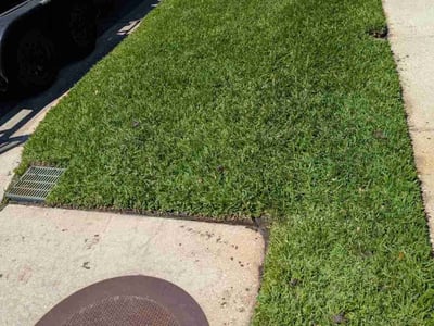 Lawn care service in Tampa, 33626