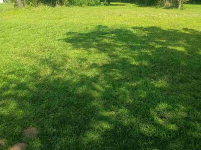 Lawn care service in Cleveland, 44106