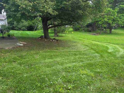 Lawn care service in Merrillville, 46410