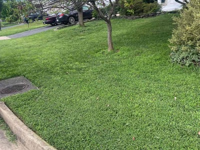 Lawn care service in Ashburn, 20147