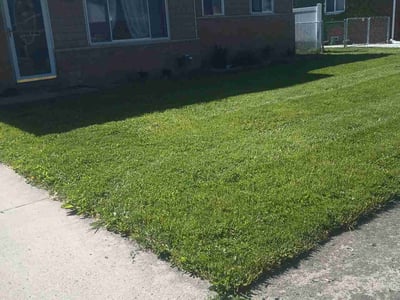 Lawn care service in Clinton Township, 48035