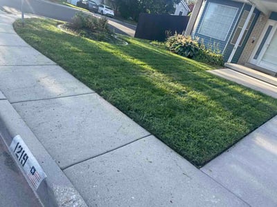 Lawn care service in Salt Lake City, 84123