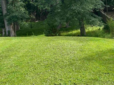 Lawn care service in Raleigh, 27616