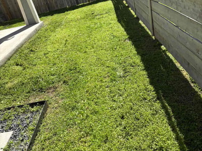 Lawn care service in Austin, 78721