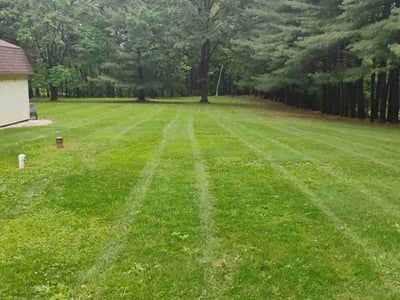 Lawn care service in New Market, 21774