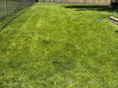 Lawn care service in McHenry, 60050