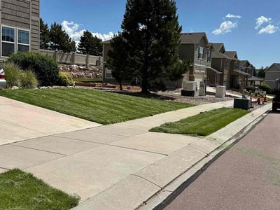Lawn care service in Colorado Springs, 80921