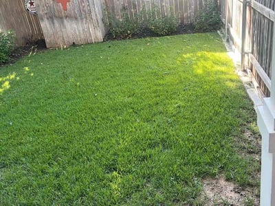 Lawn care service in Austin, 78705