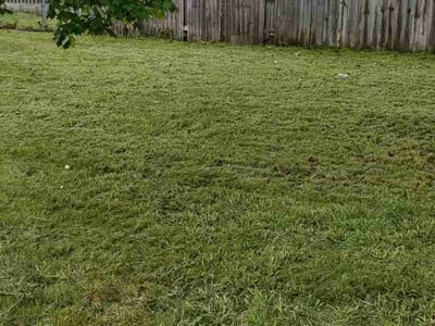 Lawn care service in Des Moines, 50317