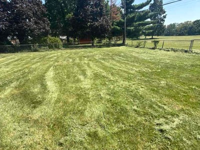 Lawn care service in Mason, 45040