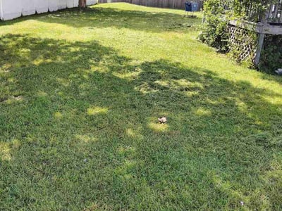 Lawn care service in Chesapeake, 23320