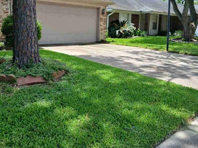 Lawn care service in Friendswood, 77546