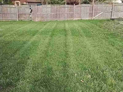Lawn care service in Schererville, 46375