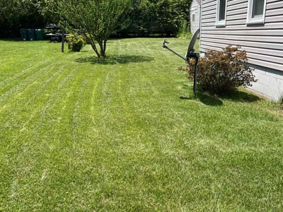 Lawn care service in Richmond, 23222