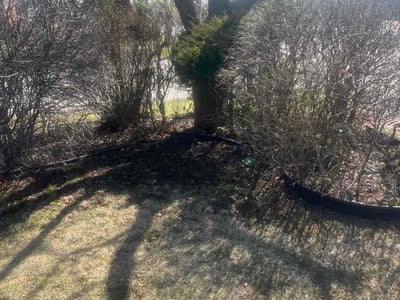 Lawn care service in Oak Lawn, 60457