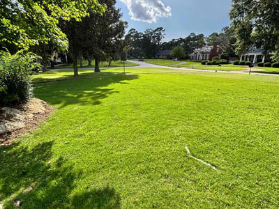 Lawn care service in Albany, 31707