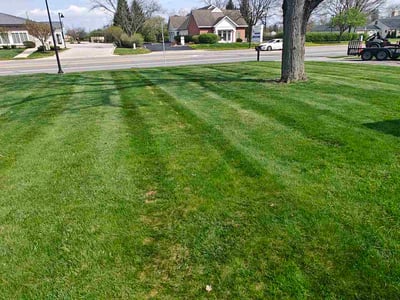 Lawn care service in Grove City, 43123