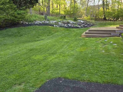 Lawn care service in Acton, 01720