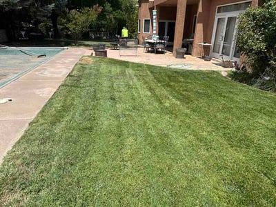 Lawn care service in Albuquerque, 87111