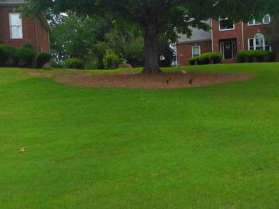 Lawn care service in Trussville, 35173