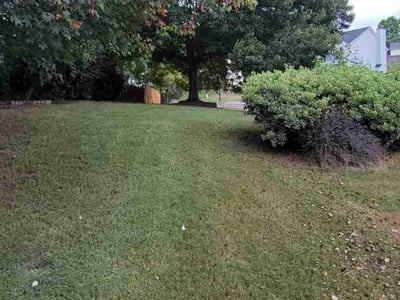 Lawn care service in Suwanee, 30024