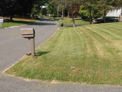 Lawn care service in Fallston, 21047